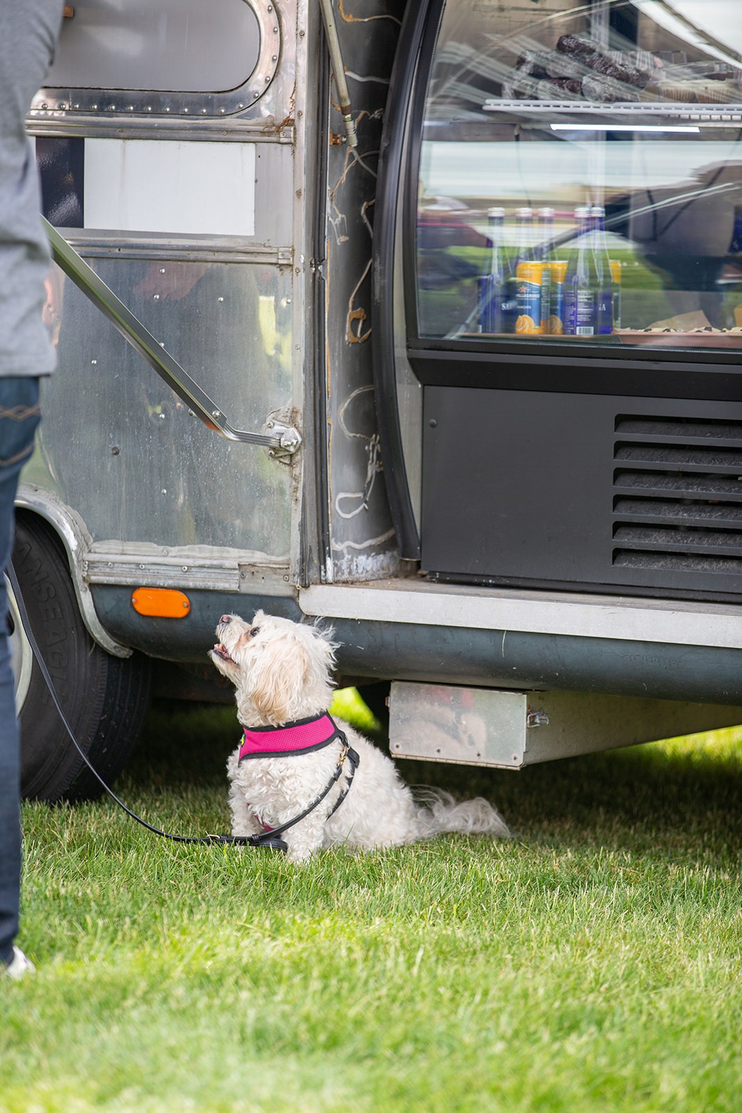 ASBURY PARK VEGAN FOOD FEST